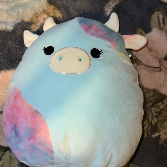 Caedia the cow squishmallow NWT - Picture 1 of 4